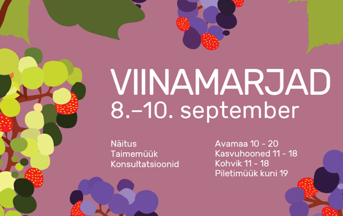 viinamarjad
