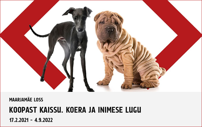 Koopast kaissu. Koera ja inimese lugu.